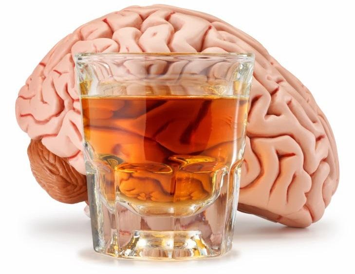 Alcohol e cerebro