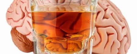Alcohol e cerebro